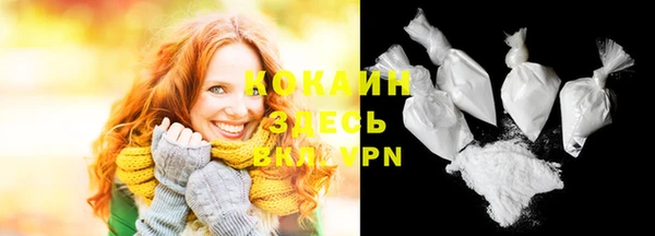 крисы Баксан