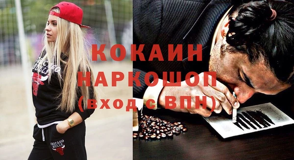 крисы Баксан