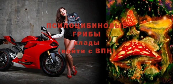 крисы Баксан