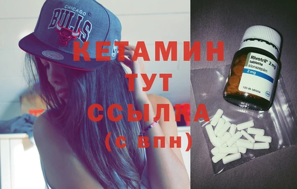 крисы Баксан