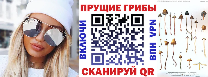 Галлюциногенные грибы GOLDEN TEACHER  Коммунар 